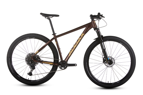 Bicicleta ADX 300 CUES 2025