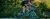 Imagem do banner rotativo 6