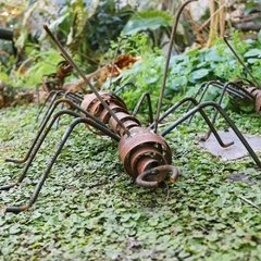 Hormiga de Hierro en internet