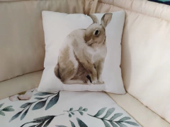 Almohadones de Diseño