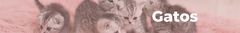 Banner de la categoría Gatos
