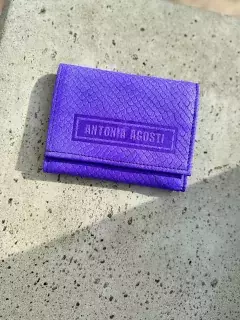 BILLETERA DELFINA en internet