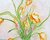 Composição com flores II (70x50 cm) - ARTE COMUNE | Atelier . Galeria
