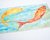 Peixes II (24.5x46 cm) na internet