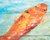 Peixes II (24.5x46 cm) - ARTE COMUNE | Atelier . Galeria