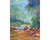 Caminho das águas I (40x30 cm)