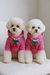 Abrigo Nikki - buy online