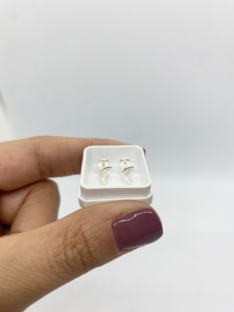 Aro pegadito abridor, Delfín