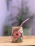 Mates PERA madera - tienda online