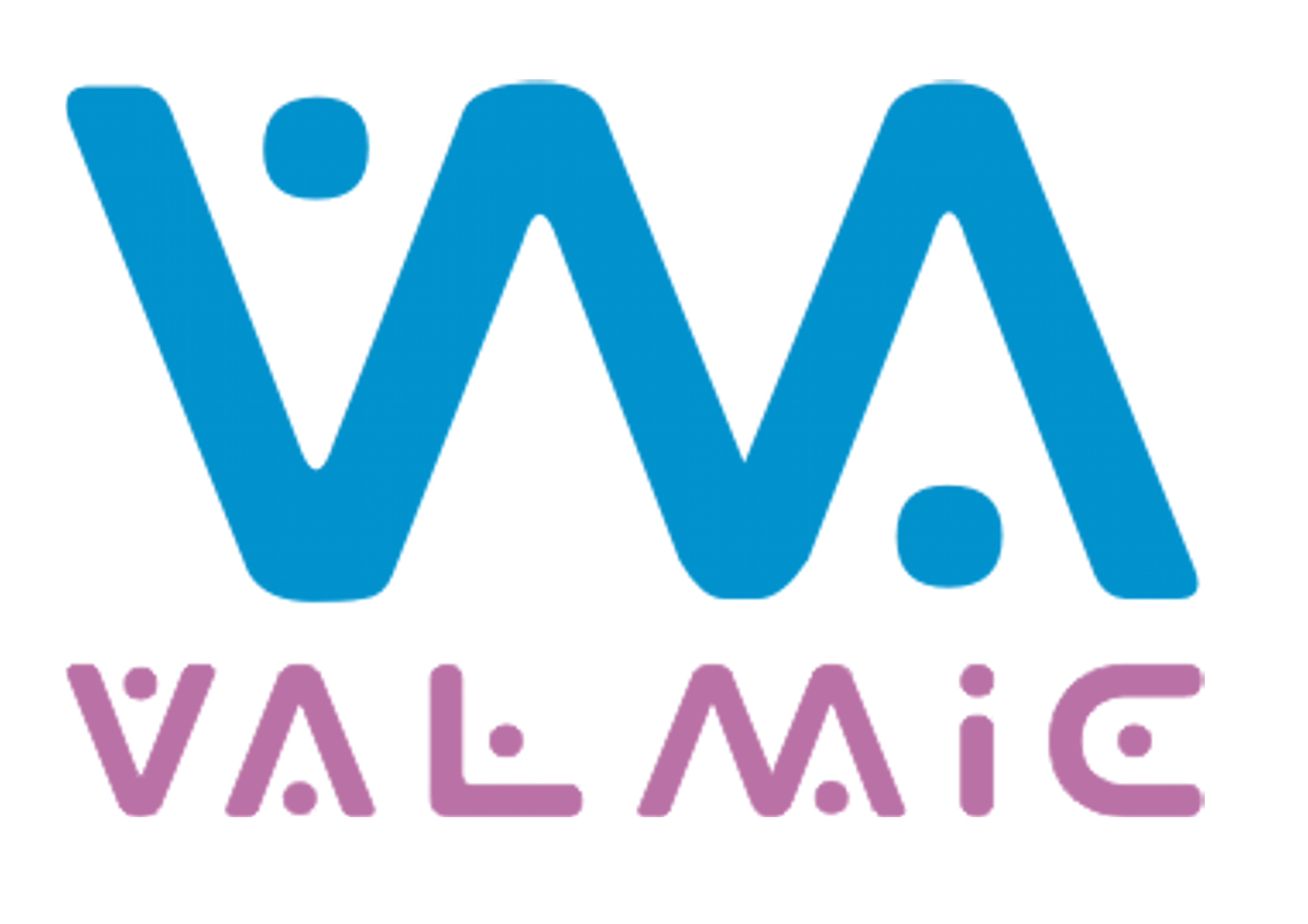 VALMIC
