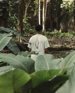 Camiseta Palm Tree - “Stoked Garden” na internet