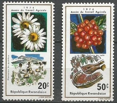 19060 RWANDA - FLORES 1974.