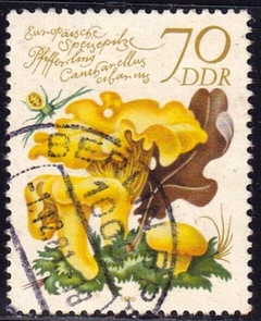 2556 ..... ALEMANHA - D D R - COGUMELO - 70 PF - 1980 - USADO