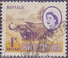 25757 ..... RHODESIA - BÚFALO - 1 d. - USADO