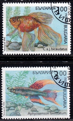 37212 ...... BULGARIA - PEIXES ORNAMENTAIS - 1993 - USADO