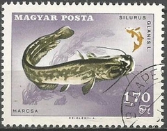 7639 HUNGRIA - SILURUS GLANIS L.