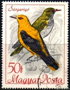 24907 HUNGRIA - PÁSSARO SÄRGARIGÓ - 50 FILLER - USADO