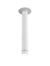 Cavia Plafon - 48 cm Imdi - comprar online