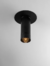 Cavia Plafon - 16 cm Imdi - comprar online