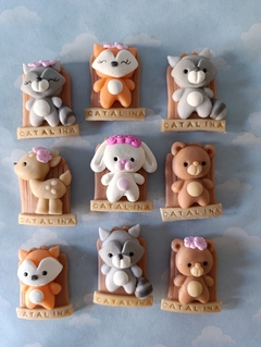 Souvenirs 10 imanes animalitos
