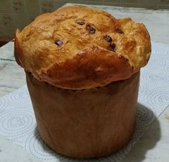 Panetone / Chocotone - comprar online