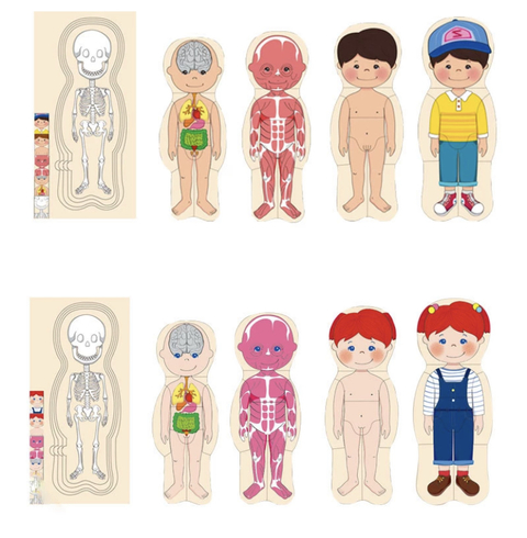 ROMPECABEZAS CUERPO HUMANO - MT