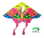 Barrilete Cometa Multicolor Mariposa Didáctico