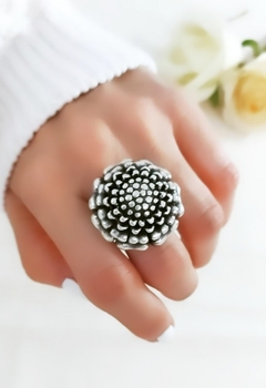 ANILLO ERIZO
