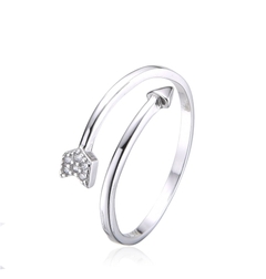 ANILLO FLECHA