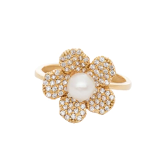 Anillo 18