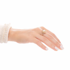 Anillo 18 - comprar online