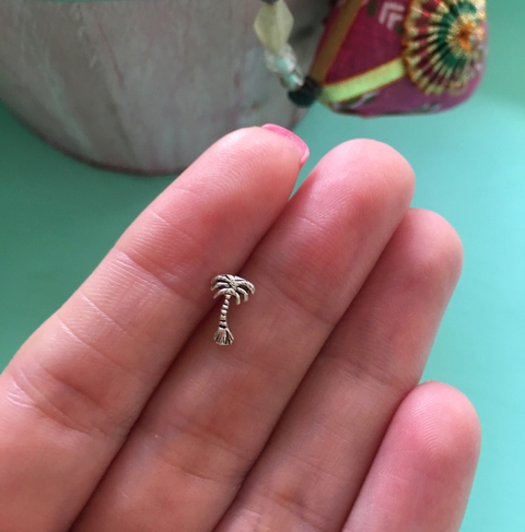 aro Palmerita (unidad)