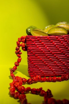 Mini Paba Crossbody - comprar online