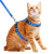 Peitoral Para Gato Com Guia Ajustável - comprar online