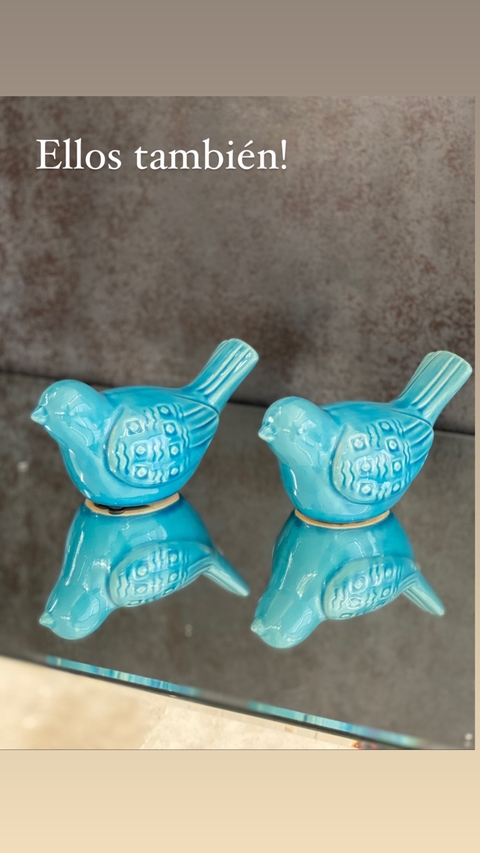 Duo pajaritos turquesas