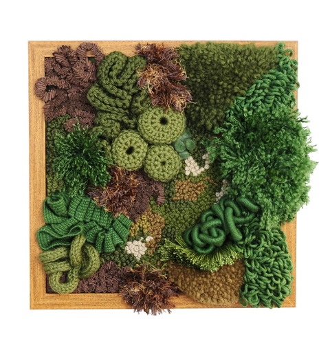 Quadro Musgo