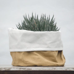 Contenedor en internet