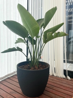 Maceta rotomoldeada ER