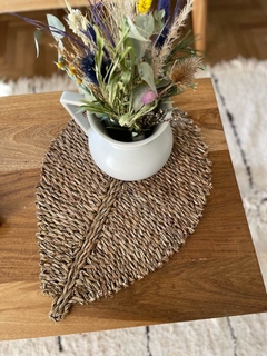 Jarra Ana en internet