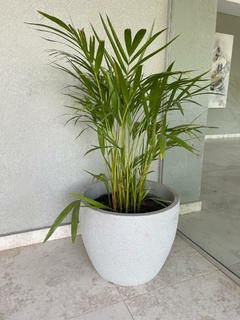 Maceta rotomoldeada ER en internet