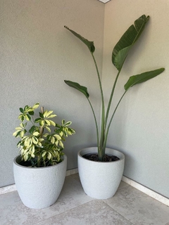 Maceta rotomoldeada ER - Domu interiorismo