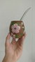 MATE PEONÍAS 2
