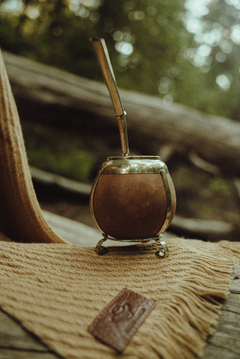 Imagen de RIENDA LISO