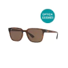 Ray-Ban 4339 en internet