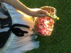 Falda Helena - Largo rodillas - Alium Trend
