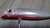 Brava 77 da Marine Sport cor N8