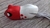 Monsyer Z60  da Matadeira  cor branca cabeca vermelho