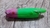 Zara Pro  da Proline   cor verde cabeca magenta