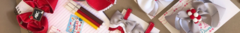Banner da categoria Laços Escolares