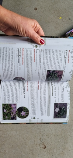 Flora de los Semidesiertos de Sudamérica templada